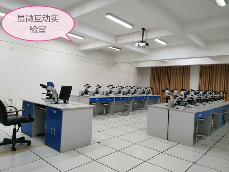 邵老師指導下的基礎醫學實驗教學 實驗場地、儀器設備與教學圖片一覽